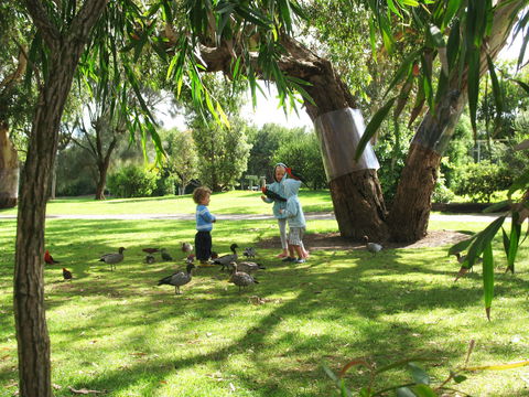 Kennett River Holiday Park - Sunshine Coast Guide 1