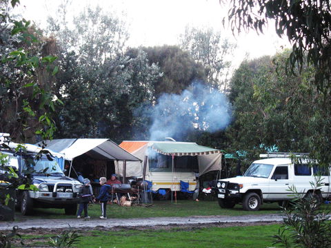 Kennett River Holiday Park - Sunshine Coast Guide 2