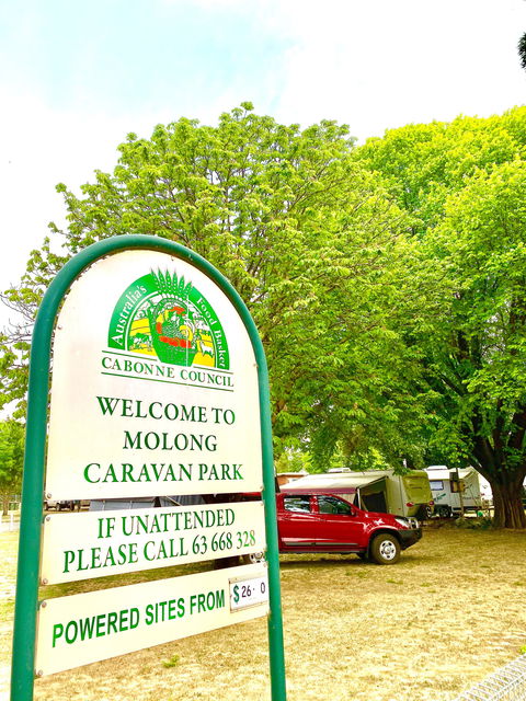 Molong Caravan Park - Sunshine Coast Guide 0