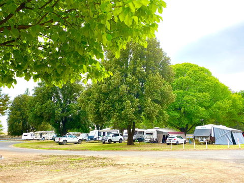 Molong Caravan Park - Sunshine Coast Guide 1