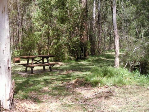 Mulloon Creek Campground - Sunshine Coast Guide 0