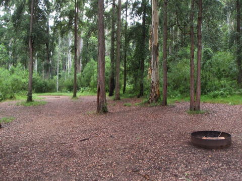 Murphys Glen Campground - Sunshine Coast Guide 0