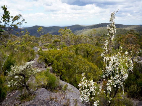 Murphys Glen Campground - Sunshine Coast Guide 1