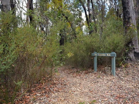 Murphys Glen Campground - Sunshine Coast Guide 2