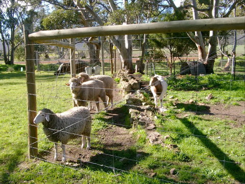 Nyroca Campsite & Group Accommodation - Sunshine Coast Guide 2