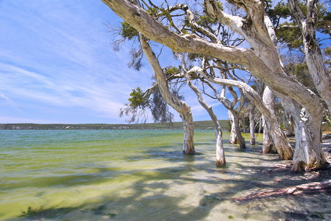 Shoal Cape Camp At Stokes National Park - Sunshine Coast Guide 0