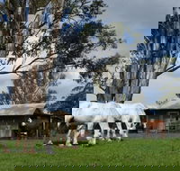 Woodenbong B and B - Sunshine Coast Guide