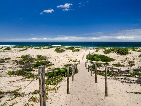Banksia Green Campground - Sunshine Coast Guide 2