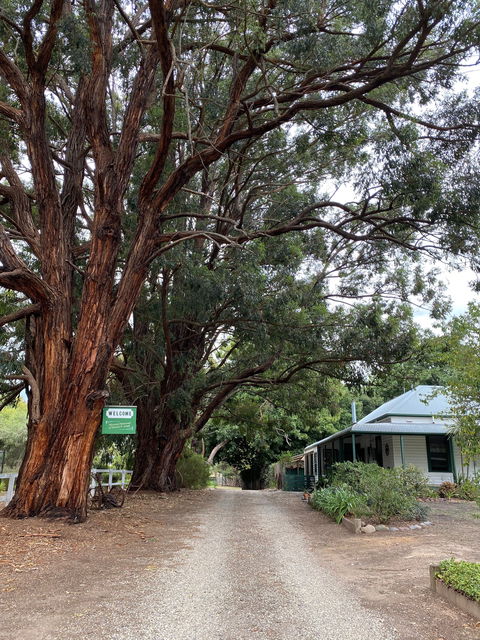 Fernleigh Accommodation - Sunshine Coast Guide 0