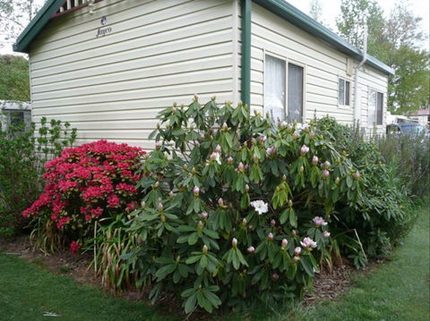 Jenolan Caravan Park - Sunshine Coast Guide 0
