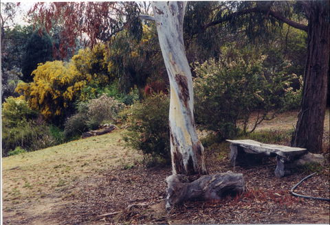 Kurringai Cottage - Sunshine Coast Guide 1