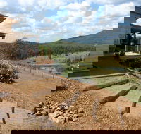 Lonely Goat Olive Farm - Sunshine Coast Guide