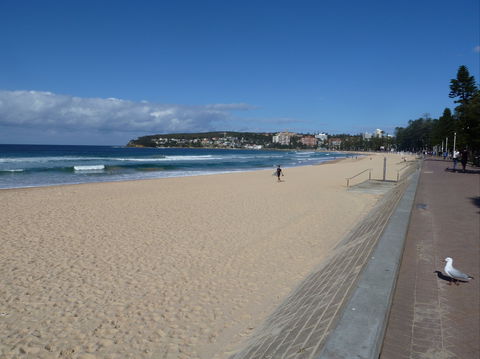 Manly Seaside Cottage - Sunshine Coast Guide 0