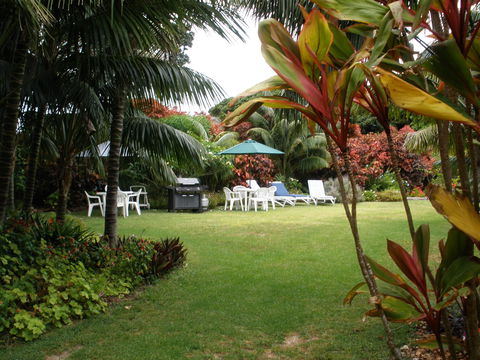 The Broken Banyan - Sunshine Coast Guide 1