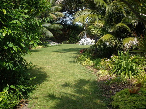 The Broken Banyan - Sunshine Coast Guide 2