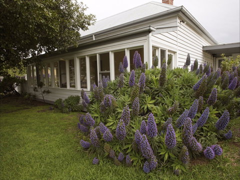 The Lonsdale Palms - Sunshine Coast Guide 1