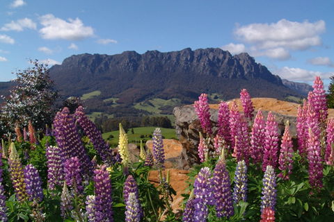 AAA Granary Accommodation - The Last Resort - Sunshine Coast Guide 0