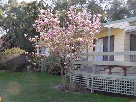 Annies Holiday Units - Sunshine Coast Guide 0