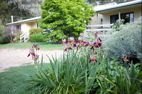 Annies Holiday Units - Sunshine Coast Guide 2