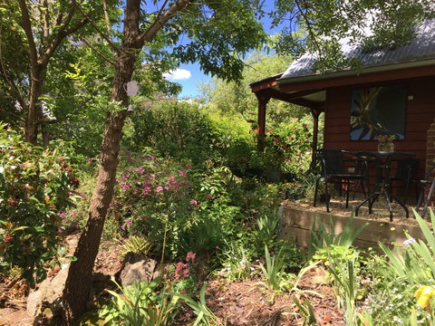 Artscape Cottage Beechworth - Sunshine Coast Guide 2