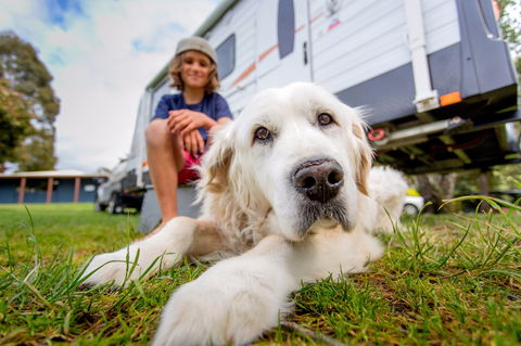 BIG4 St Helens Holiday Park - Sunshine Coast Guide 2