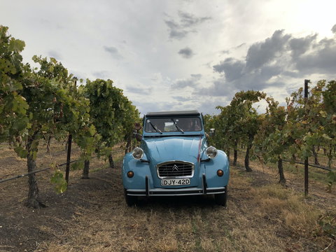 Birches Bed And Breakfast Mudgee - Sunshine Coast Guide 2