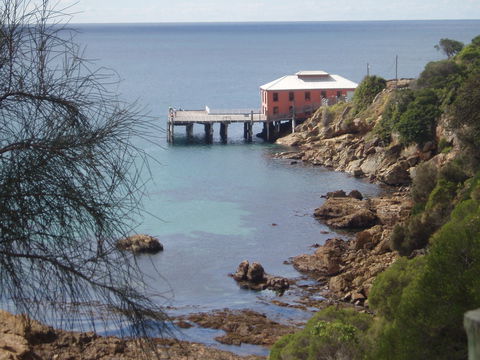 Clifftop At Tathra - Sunshine Coast Guide 2