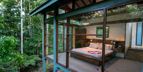 Crystal Creek Rainforest Retreat - Sunshine Coast Guide 2