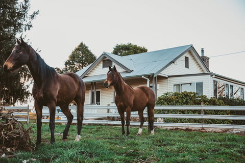 Glenburnie Cottage - Sunshine Coast Guide 0