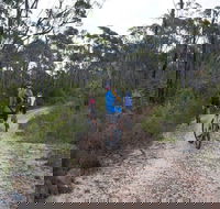Ingar campground - Sunshine Coast Guide