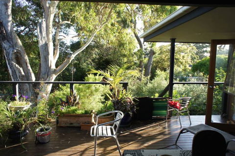 Kookaburra Dreaming - Sunshine Coast Guide 2