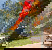 Riverdowns - Sunshine Coast Guide