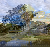 Sanctuary Lakes Fauna Retreat - Sunshine Coast Guide