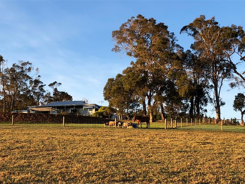 Great Southern Outback Tours & Accommodation - Sunshine Coast Guide 2
