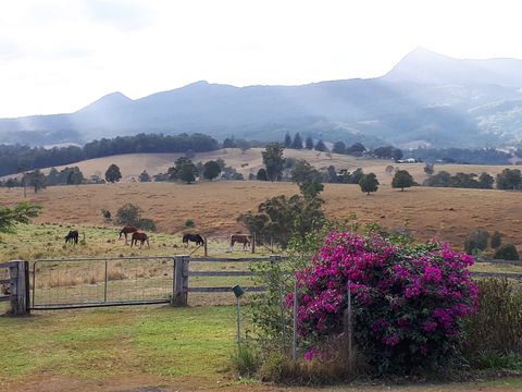The Barn  House Farm Stay At Possum Manor - Sunshine Coast Guide 0