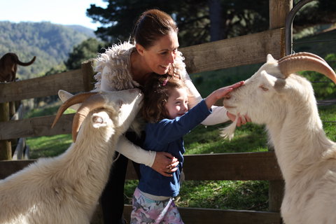 Valley View Nature Retreat - Sunshine Coast Guide 1