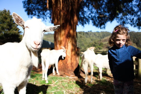 Valley View Nature Retreat - Sunshine Coast Guide 2