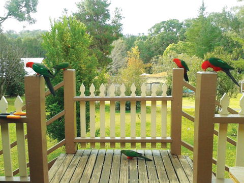 Warrumbungles Mountain Motel - Sunshine Coast Guide 0