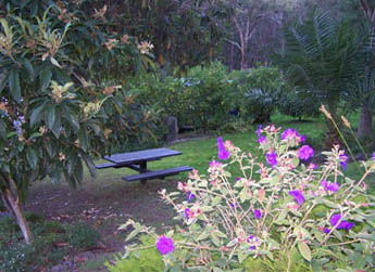 Sunway Farm B And B And Tours - Sunshine Coast Guide 2