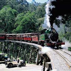 Yuulong Bed And Breakfast - Sunshine Coast Guide 5