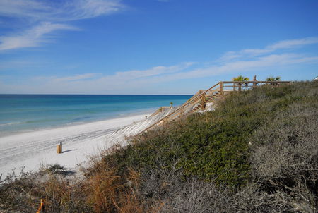 Surf Serenade - Sunshine Coast Guide 4