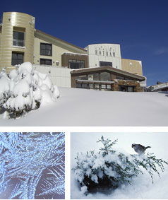 Chalet Hotham - Sunshine Coast Guide 0