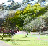 Otways Tourist Park - Sunshine Coast Guide
