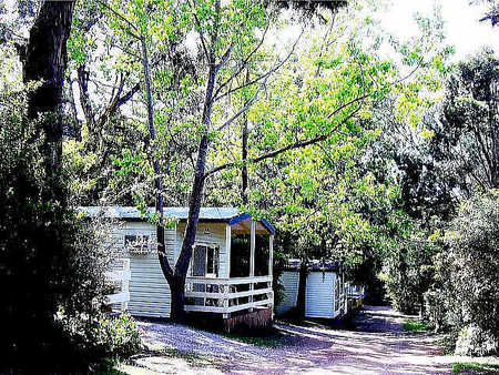 Flinders Caravan Park - Sunshine Coast Guide 0