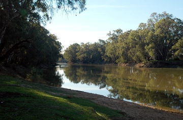 Swan Hill Holiday Park - Sunshine Coast Guide 3