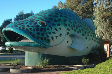 Swan Hill Holiday Park - Sunshine Coast Guide 4