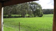 The Glen Farm Cottages - Sunshine Coast Guide 2