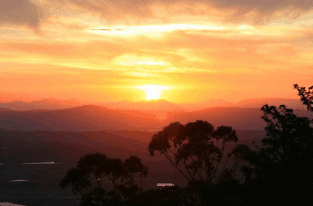 Avocado Sunset - Sunshine Coast Guide 0