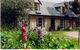 Wuthering Heights - thumb 0