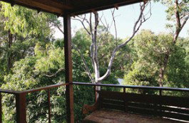 Apikia - Sunshine Coast Guide 3